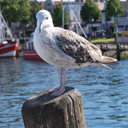 公寓 Maisonettwohnung Bergemann