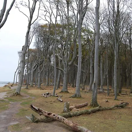 公寓 Maisonettwohnung Bergemann