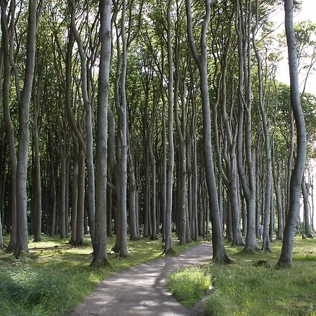 Maisonettwohnung Bergemann 奥斯特巴特宁哈根