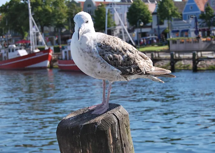 Apartment Maisonettwohnung Bergemann