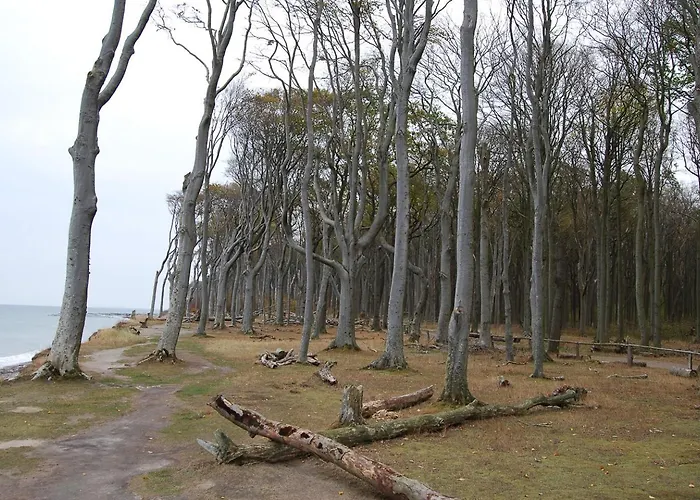 Apartment Maisonettwohnung Bergemann