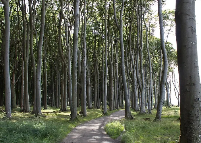 Maisonettwohnung Bergemann Ostseebad Nienhagen